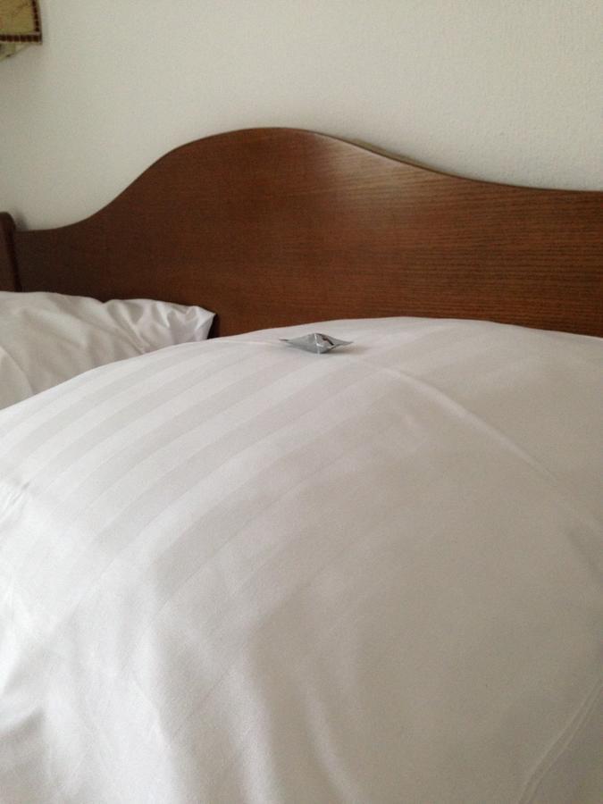 Aparthotel Goldene Rose Ebersbach an der Fils Exterior foto
